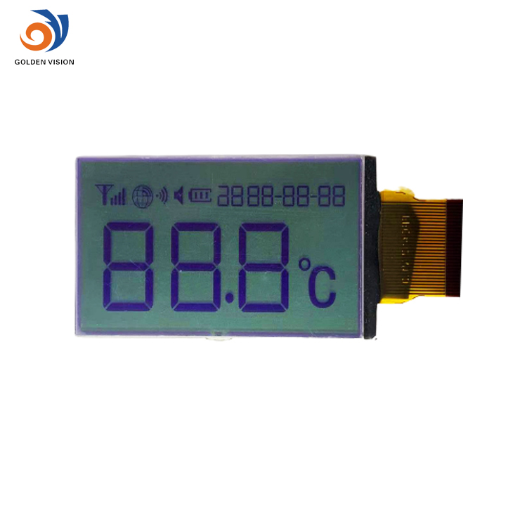 COG LCD display